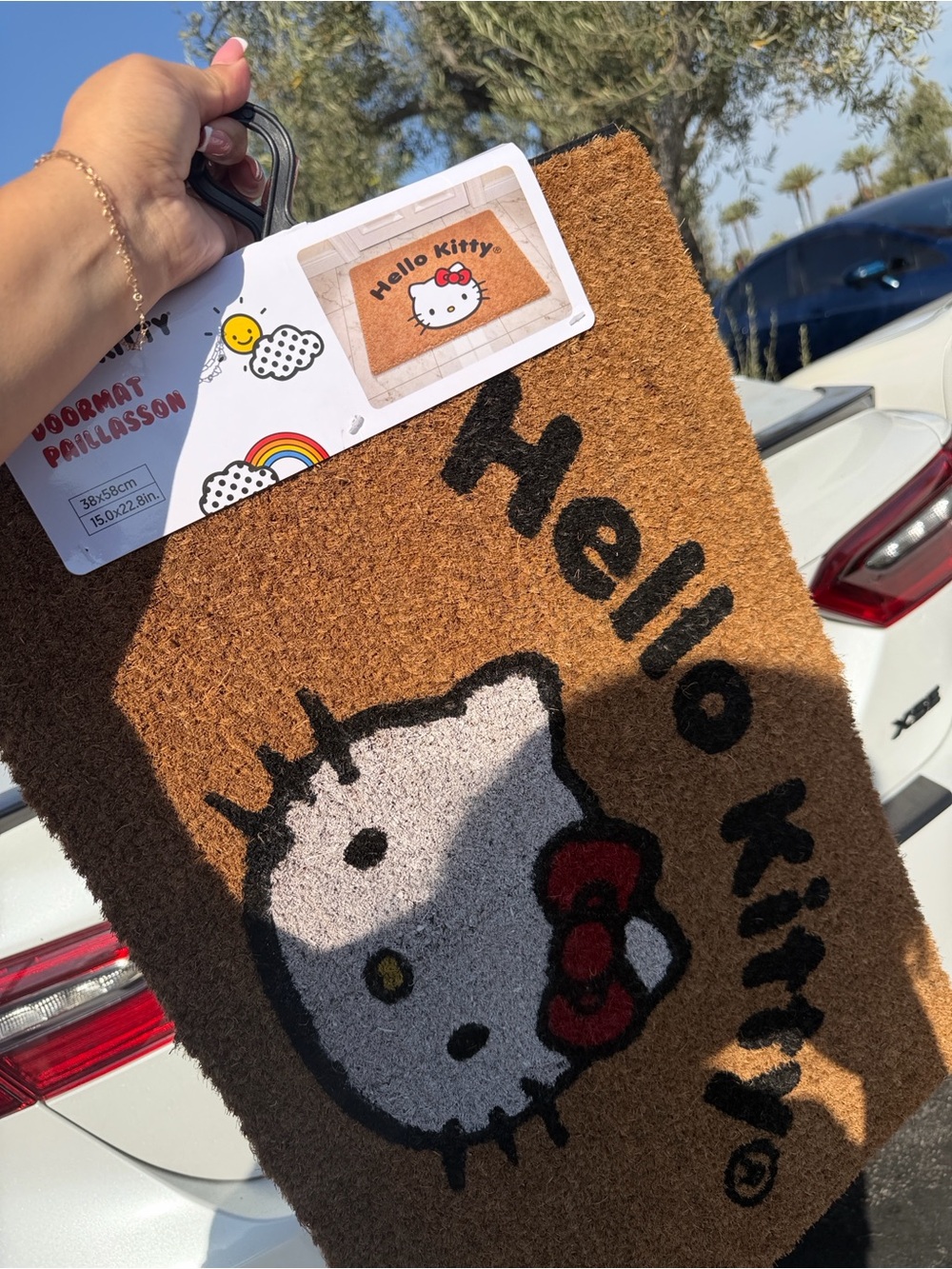 Hello kitty doormat